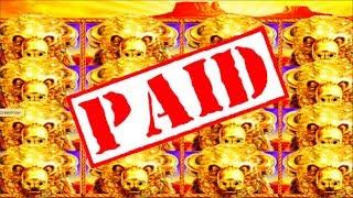 MASSIVE WIN!  Is 78 Free Spins Enough To CAPTURE ALL 15 GOLD BUFFALOS? Slot Winning W/ SDGuy1234