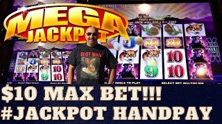 ️MY BIGGEST JACKPOT️ on BUFFALO SLOT MACHINE!