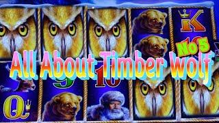 SUPER LUV LUV LUV !ALL ABOUT TIMBER WOLF #5For Timber Wolf Lover TW GOLD / DIAMOND / DELUXE