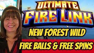 ULTIMATE FIRE LINK BONUSES-NEW FOREST WILD