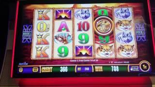 Buffalo Gold Slot play - All Bonuses 2/7/17