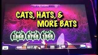 MASSIVE CATS HATS & MORE BATS BONUS COLLECTION