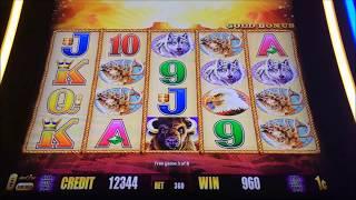 My New Slot System $100 in Cash out after Bonus!  Buffalo Gold!