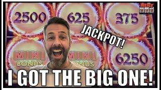 MY BALLS ARE HUGE! I got some big ones on Dragon Link! JACKPOT! Slot Machine Big Win!!