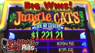 **BIG WIN!!!/Bonuses!!!** Jungle Cats/Life of Luxury Slot Machines