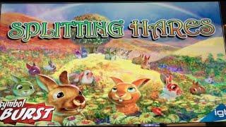 Splitting Hares VS Panda Palace LIVE PLAY  Slot Machine Pokie in Vegas and SoCal