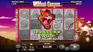 Wild Cat Canyon• free slots machine by NextGen Gaming preview at Slotozilla.com