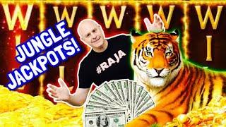 Full Screen of Tigers & Wild's Oh My!  High Limit Golden Jungle Jackpots!