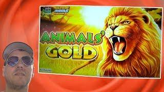 Animals' Gold - Komami