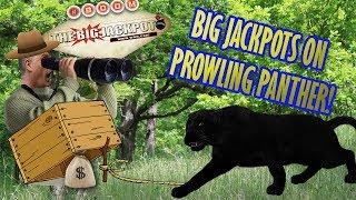 Big Jackpots on Prowling Panther  | The Big Jackpot