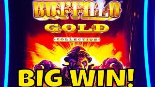 BUFFALO GOLD BIG WIN! & DRACULA Live Play