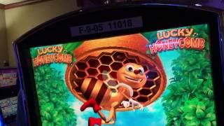 BIZZY BIZZY BIZZY!!!!! LUCKY HONEYCOMB SLOT LINE HITS AND BONUS BIG WIN!!! (3 VIDEOS)