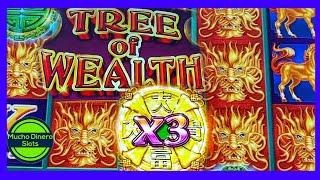 My BIGGEST TREE OF WEALTH JACKPOT/ MAX BETS/ HUGE WINS/ HIGH LIMIT