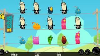 Birds on a Wire slot by Tunderkick - Gameplay