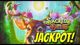 I got another Deer Filled HANDPAY!