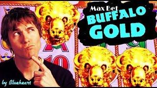 BUFFALO GOLD slot machine MAX BET BIG WIN!