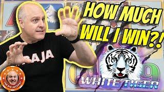 NEVER BEFORE SEEN! How Much Will I Win on White Tiger Slots?!