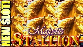 SPIN AGAIN!! NEW SLOT! I LIKE THIS GAME!  MAJESTIC STALLION Slot Machine (IGT)