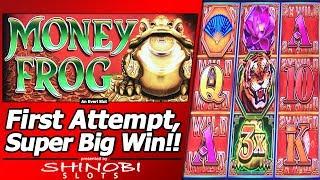 Money Frog Slot - First Attempt, Super Big Win in New Everi title