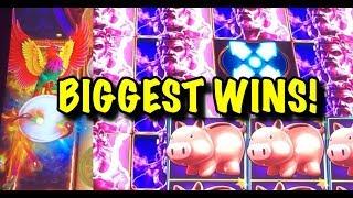 BIGGEST WINS