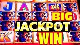 • JACKPOT • BUFFALO GOLD slot machine 15 Gold Buffalos HANDPAY!