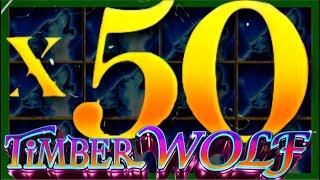 50X WIN! Timber Wolf Slot Machine MASSIVE WINS W/ SDGuy1234