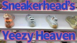 YEEZY Dream Sneaker COLLECTION at a Sneakerhead Dream in Las Vegas