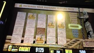 Pharaoh's Prize Extra Bonus Round