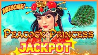 HIGH LIMIT DRAGON LINK PEACOCK PRINCESS HANDPAY JACKPOT $50 MAX BET BONUS ROUND Slot Machine