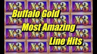 BUFFALO GOLD: BEST BONUS LINE HITS! (lots of handpay sized spins)