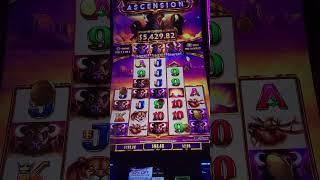 COME ON GIVE ME THAT LAST REEL! #shorts #casino #winner #buffaloascension