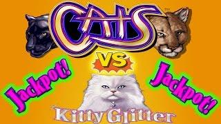 BIG JACKPOT HANDPAY   CATS VS KITTY  HIGH LIMIT SLOT MACHINE