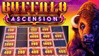 BUFFALO ASCENSION & BUFFALO LINK Slot Machine Stampede Wins!