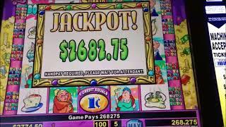 Whooop Casino Jackpot at the Slot Machine