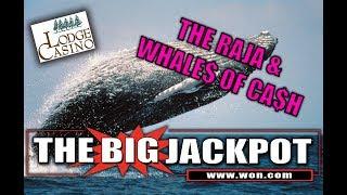 The Lodge Casino Brings The Raja Some Good Luck On Whales Of Cash!  | The Big Jackpot