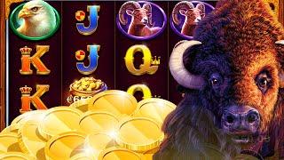 Black Bull - NEW Slot - 50€ Spins - Freispiele am Fließband!
