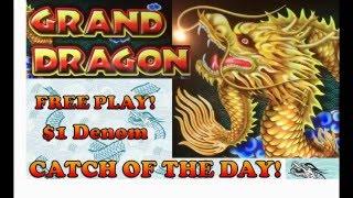$1 Denom – Catch of the Day! – Ainsworth Grand Dragon – Live Play & Bonus with Retriggers!!