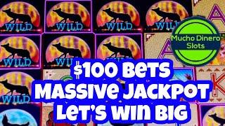 MY BIGGEST WIN ON COYOTE MOON SLOT HIGH LIMIT  FREE GAMES HIGH LIMIT  MUST WATCH INSANE WIN