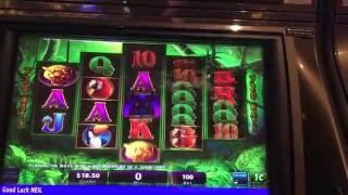 PROWLING PANTHER ~ Slot machine live play and bonus