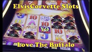 Buffalo Gold | Super Big Win & No Taxes LOL