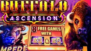 BUFFALO ASCENSION I Made it to the TOP! New! at Red Hawk Casino