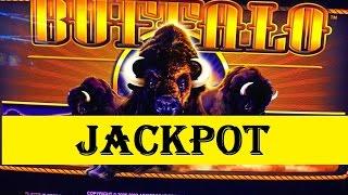 Jackpot Buffalo Slot Machine Max Bet $4  (Handpay)