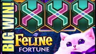 •NEW SLOT! BIG WIN MEOW!! • FORTUNE LINK - FELINE FORTUNE Slot Machine Bonus (IGT)