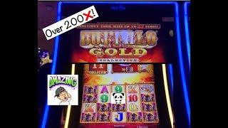 Buffalo Gold! Huge win! The bonuses kept getting better!