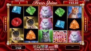 Pretty Kitty Slot - BIG WIN- Features & Game Play - by Microgaming
