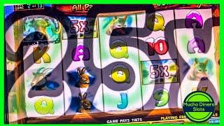 BIGHORN BUCKS SLOT JACKPOT/ MASSIVE WIN/ HIGH LIMIT SLOTS/ 25X