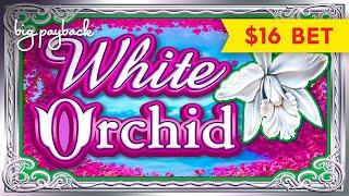 White Orchid Slot - UP TO $16 MAX BETS!