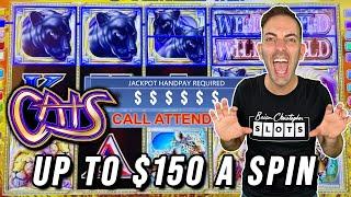 Up to $150 A SPIN on CATS  15 Minutes Straight!