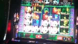 Giant Panda (Aruze) - Max Bet Bonus Huge Big Win!