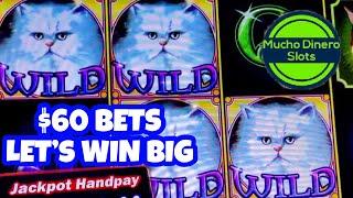 2 JACKPOTS HIGH LIMIT/ I WON HUGE ON KITTY GILTER HIGH LIMIT SLOT/ FREE GAMES/ HUGE BETS